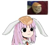 REISEN PANCAKE HEAD