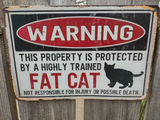 fat_cat_warning