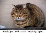 Fack yu and turn heting upz