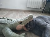 0364655063103