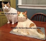 1954245