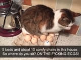 15258456