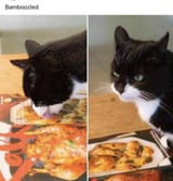 AAdbDbAADO_s