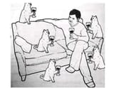 Drinking with Cat