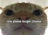 12452345302
