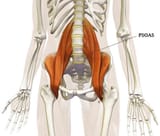 Psoas-iliaque-3S