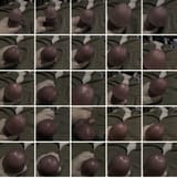 IMG_1618