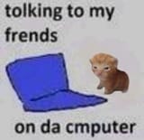 20240305_200943 talking to my friends on the computer cat