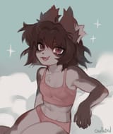 h6j88c05nuef1