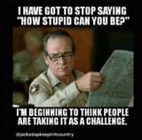 HowStupidCanYouBe