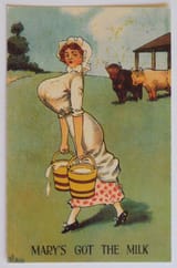 marymilk