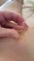 1526826180688_thumb.jpg