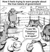 cattle