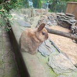 IMG_20250801_143722288