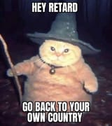 Cat Wizard
