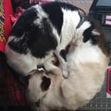 received_1115857473000375