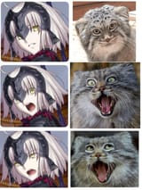 tangusutenn-953969771921289216-0
