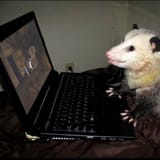 gaming