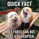 525815357_1247041214102276_7899233385667141434_n_(scontent-sea5-1.xx.fbcdn.net)