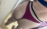 IMG_7293