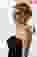 08394076_538239271359031_9053751969450361294_n-37x57