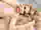 52491349_689653566029107_1809655885015081312_n-80x60