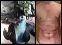 bewitchedspecificgardensnake_thumb.jpg