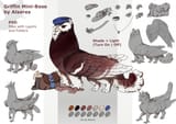 1597426132.alsaresnolynx_cover