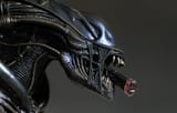 review_htalien_5
