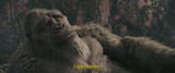 snapshot-2025-08-02-1208-Godzilla x Kong The New Empire 2024 1080p BluRay DD+7.1 x264-HiDt-011729