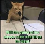 owner