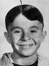 alfalfa-switzer
