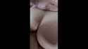 short doggy(1)_thumb.jpg