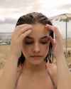 palvin anim2_thumb.jpg