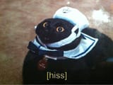 [hiss]