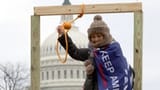 the-gallows-set-up-by-the-capitol-rioters-screengrab-3329404316