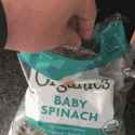 spinach_thumb.jpg