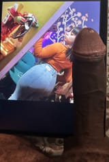 33