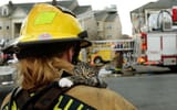 cat.in.good.hands...................