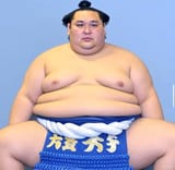 sumo-shane