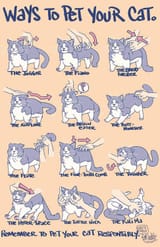 cat.instructions.......