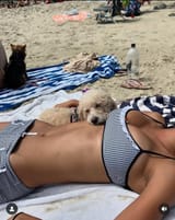Bikini Bridge