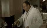 tony-soprano-498-x-295-gif-r73e19dm43slk4x6