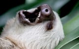 aaaaaaaaaaaaaaaaaaaaaaaa