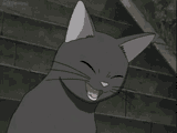 I laff