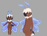 Water Mothboy working ref