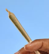 0384ebb2-8f9b-4028-863e-0c9b53f51756_prerolls