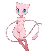 00411-2885904737