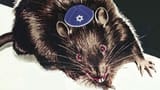 ZReLYrG4xPYzu8HADWSC_16_6dfcfb1e70f9923114b159a6a26ca1b4_image