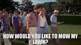 mow my lawn